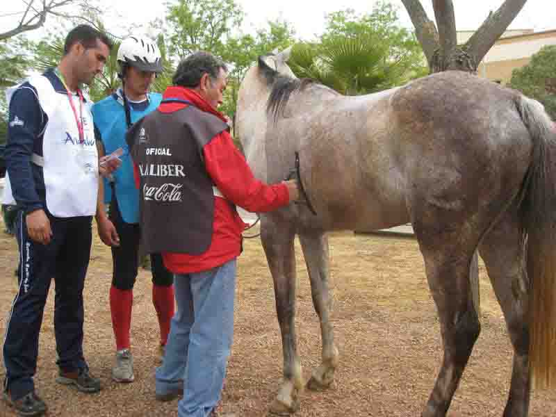 Raid Hpico Valle del Guadiato