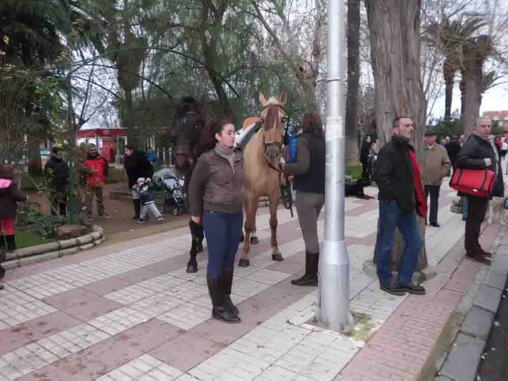 Bendicin de animales