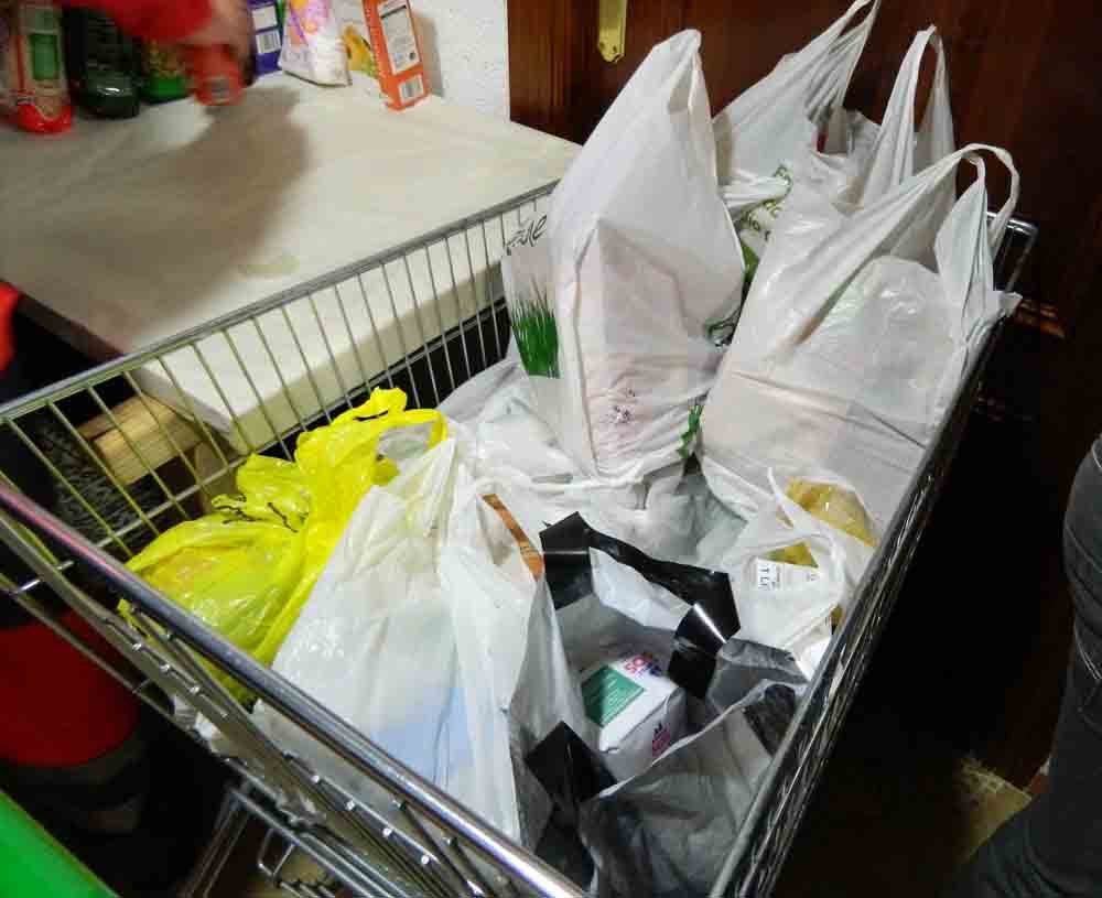 Alimentos recogidos