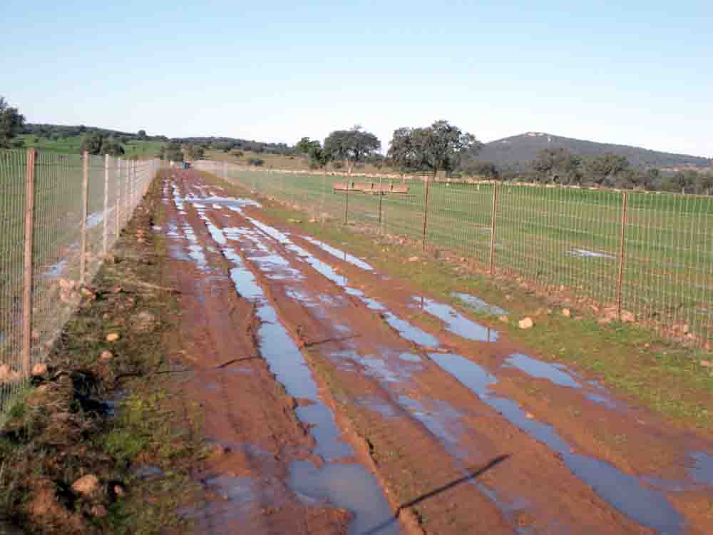 Estado del camino a Villanueva