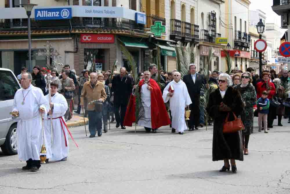 Bendicion de Palmas y Olivos, Santa Barbara, Domingo de Ramos 