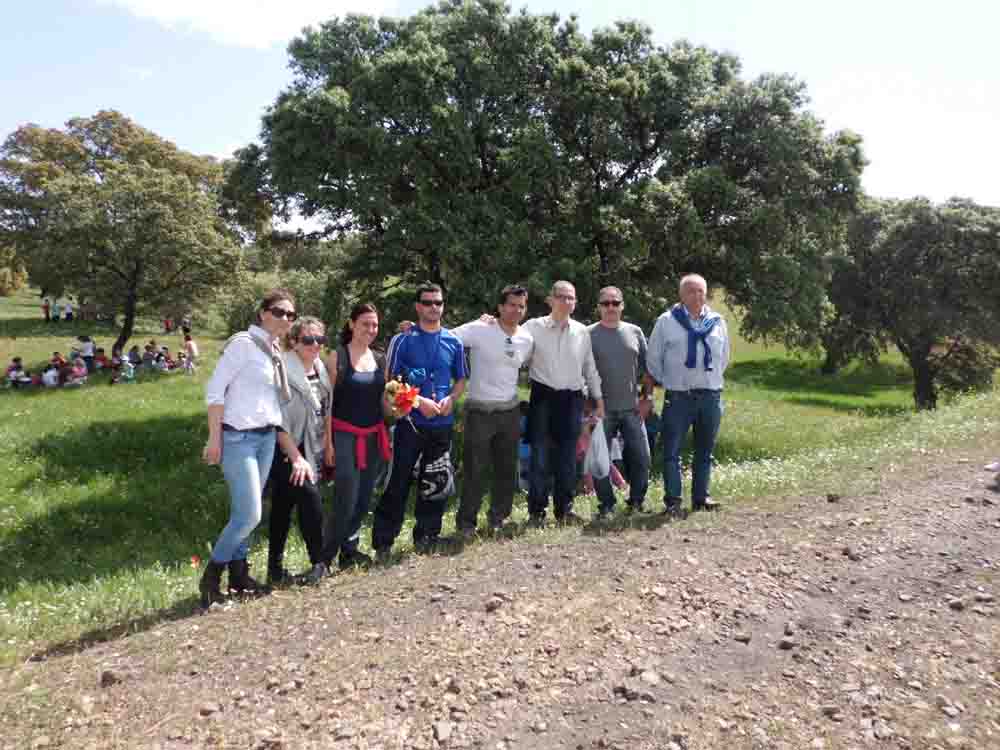 Plantacin de rboles en la va verde