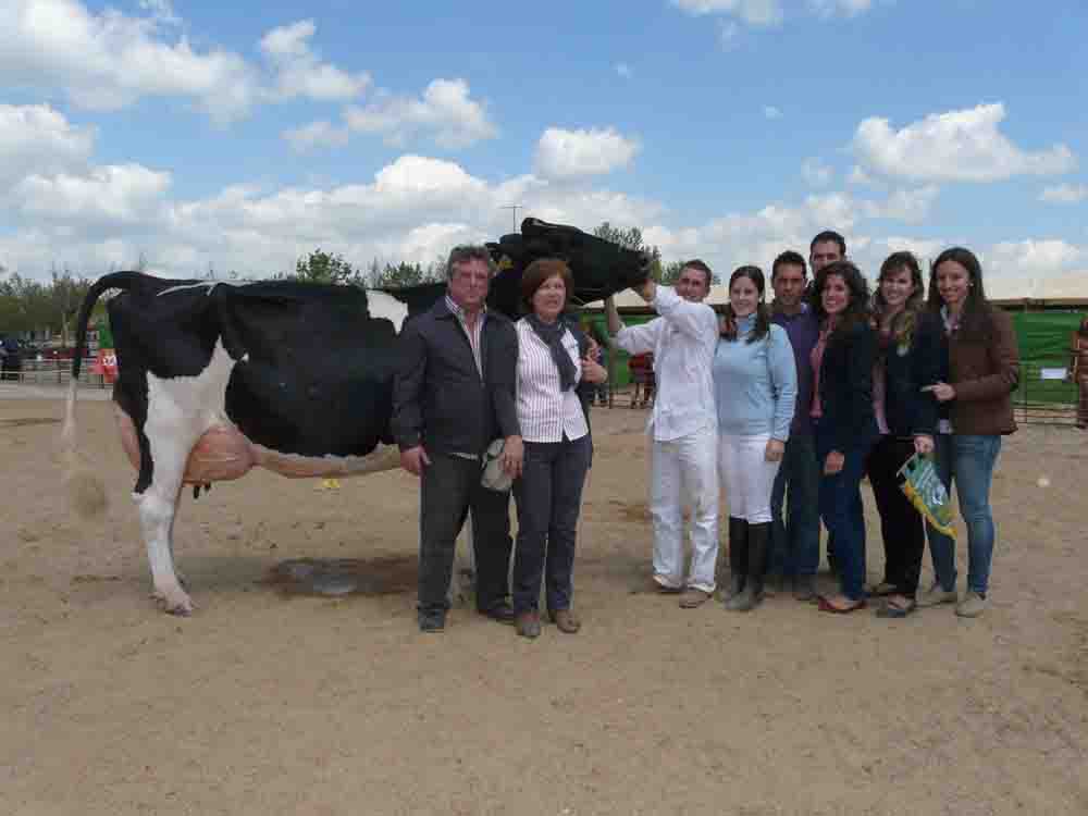 Feria Agroganadera del Valle de Los Pedroches