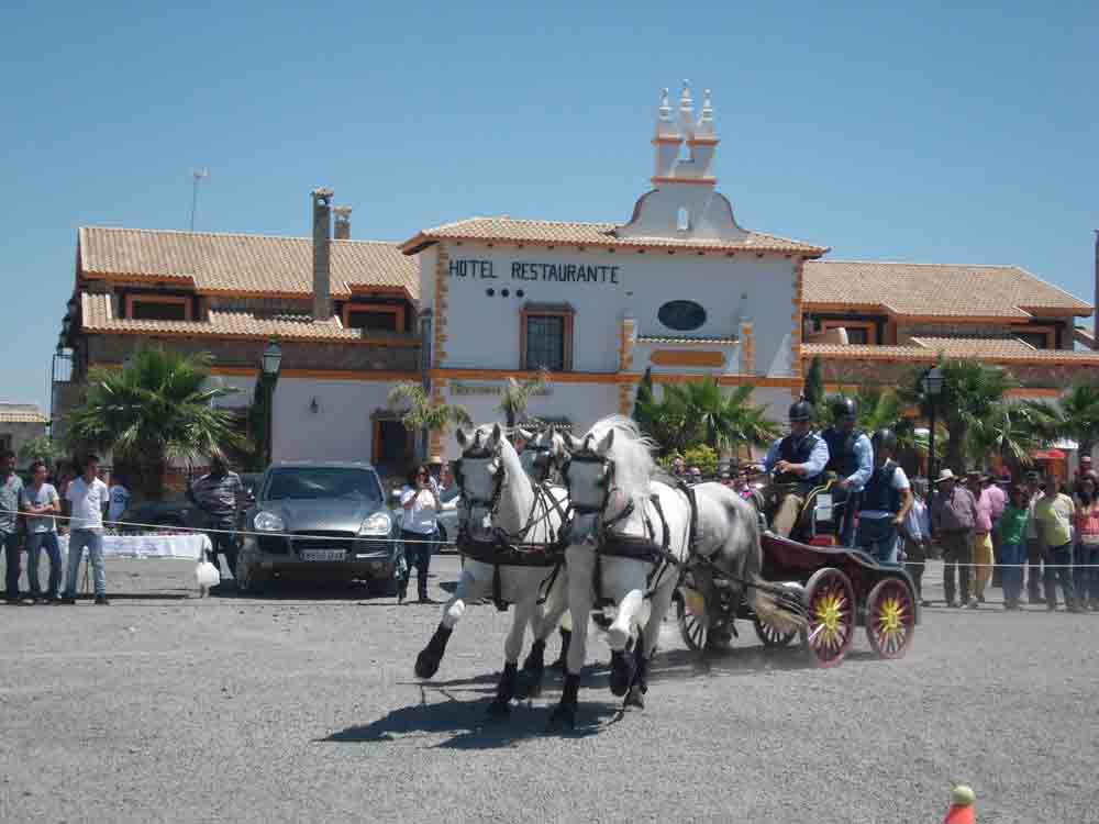 II Indoor ciudad de Fuente Obejuna