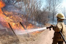 Programa de mejora forestal