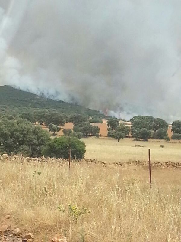 Un nuevo incendio calcina 370 hectreas 