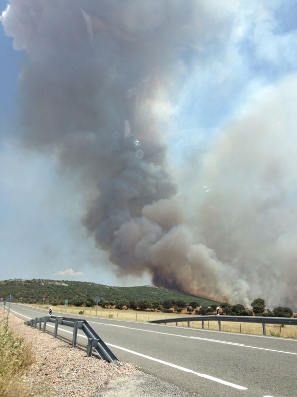 Un nuevo incendio calcina 370 hectreas 