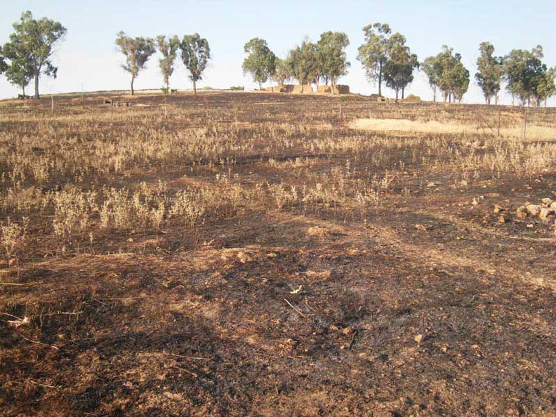 Se suceden pequeos incendios en Fuente Obejuna