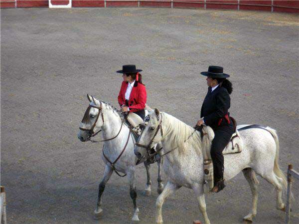 Pea Deportiva Ecuestre Manuel Abril Barbero