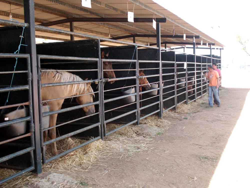 Feria Agroganadera de Fuente Obejuna