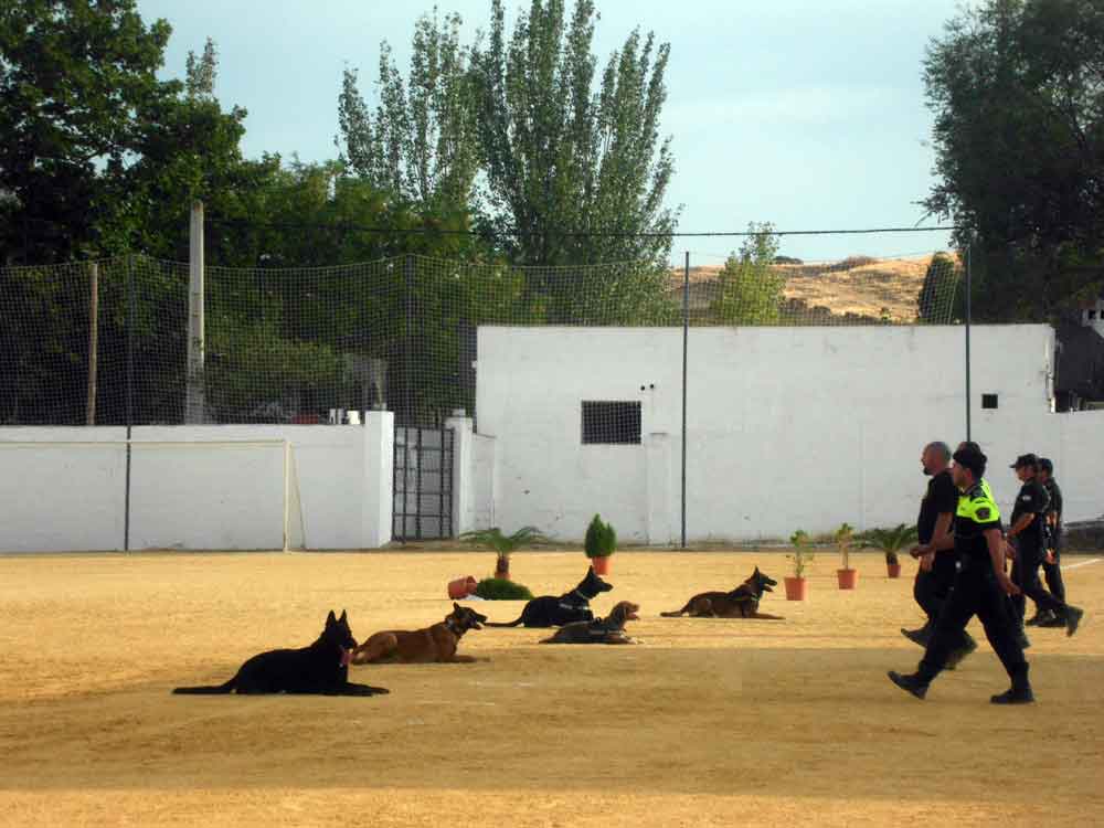 Un sbado de FAGA cargado de actividades