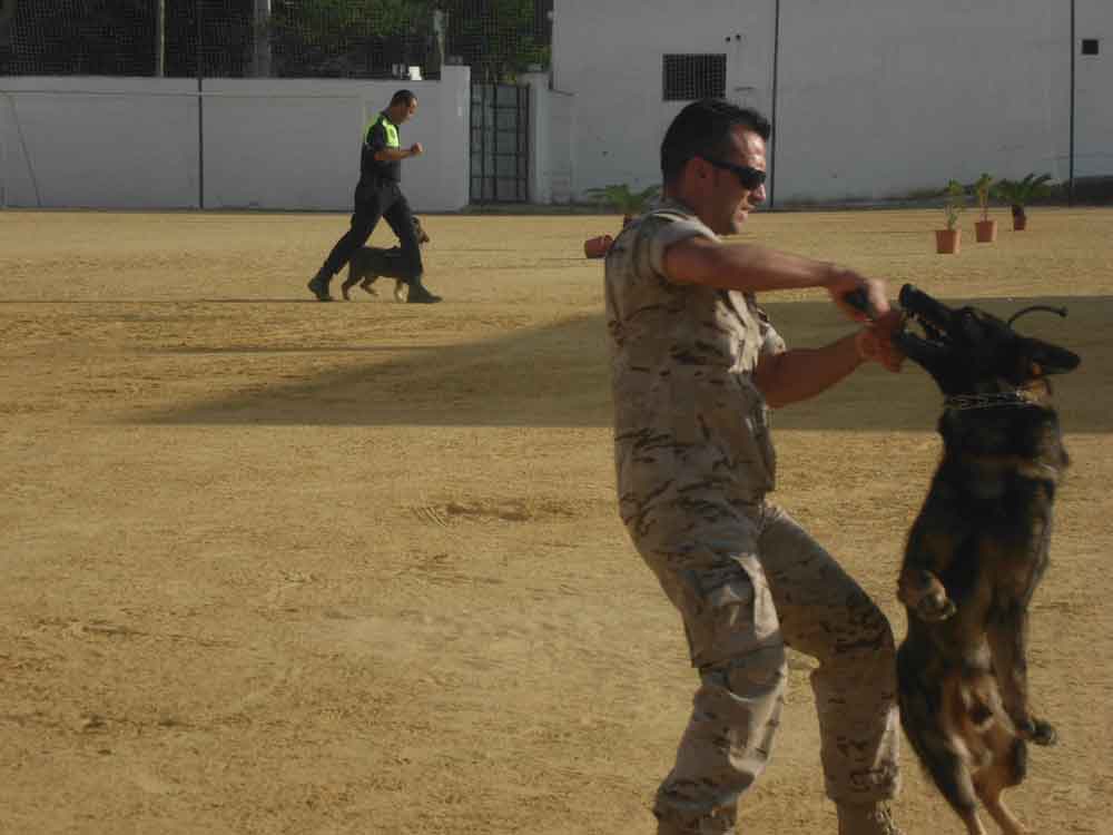 Un sbado de FAGA cargado de actividades