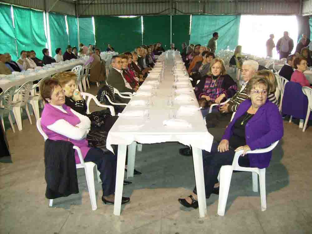 comida