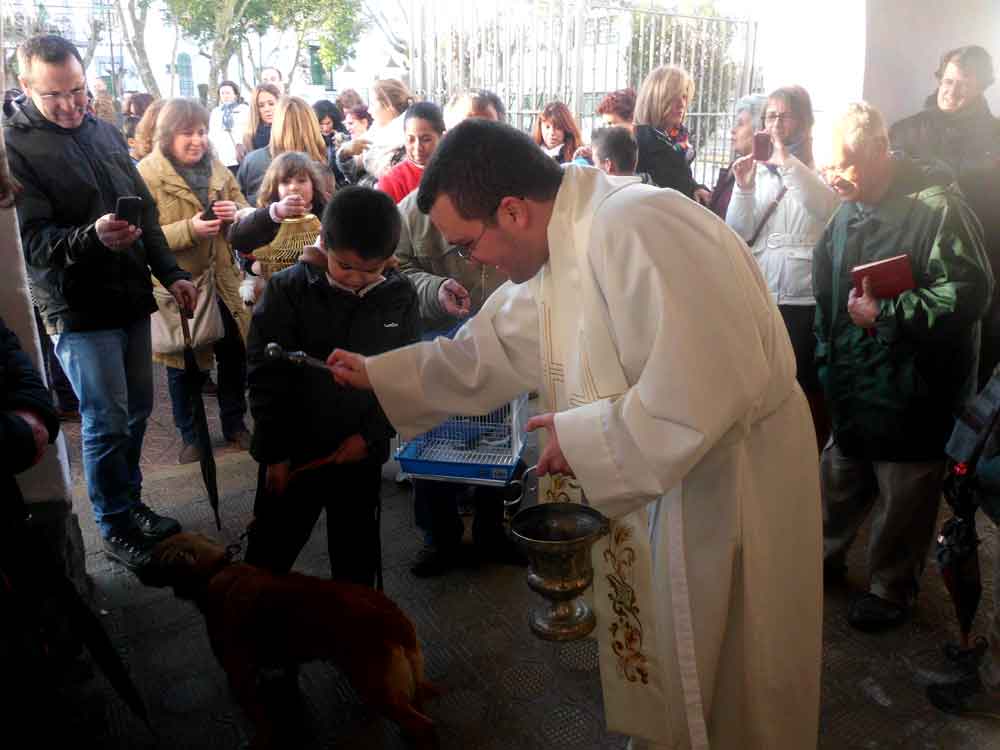 Se vuelven a bendecir las mascota