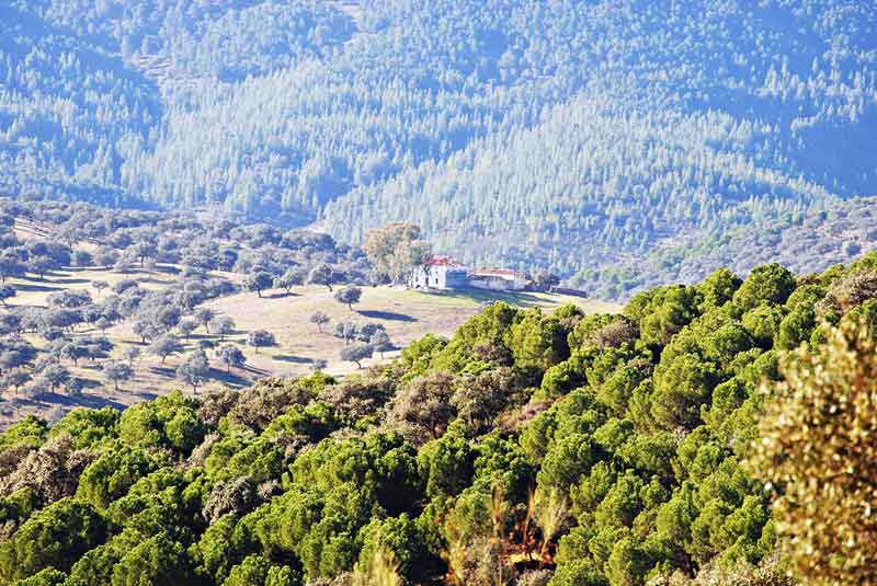 38 puestos de trabajo en Villanueva del Rey