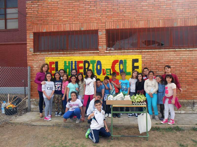 Huerto escolar del CEIP Bilinge San Jos de Calasanz