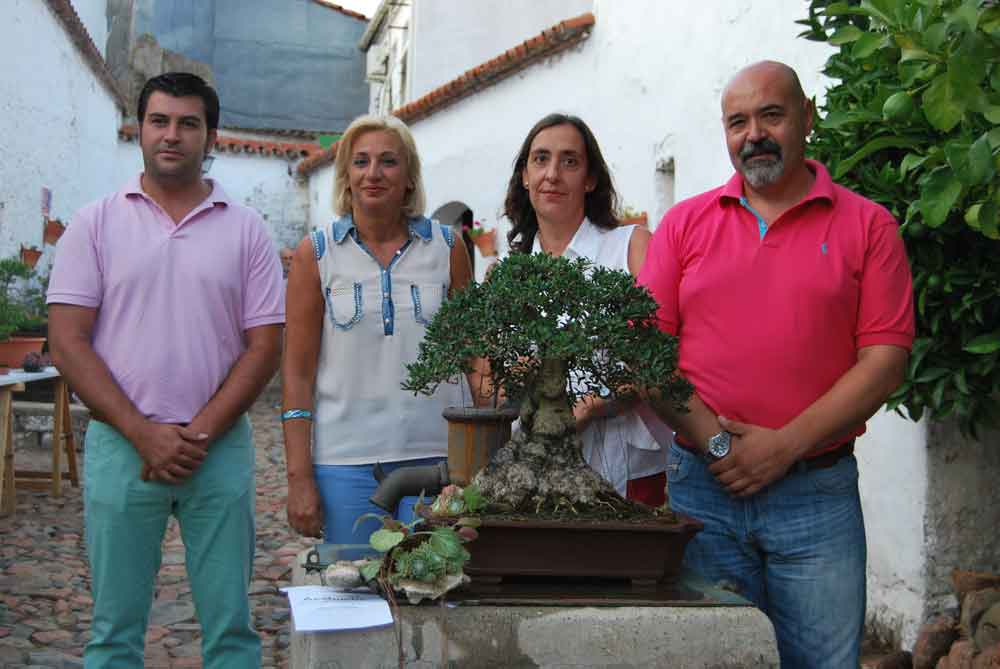 I Exposicin de bonsi  en Villaviciosa