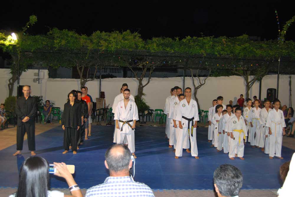 Exhibicin de artes marciales