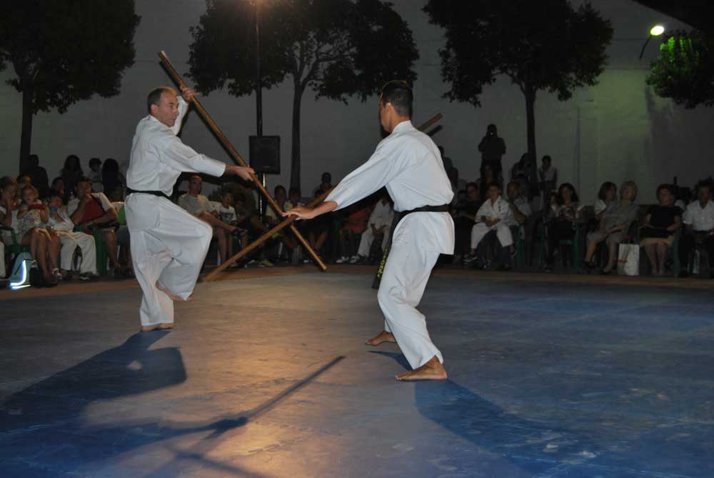 Exhibicin de artes marciales