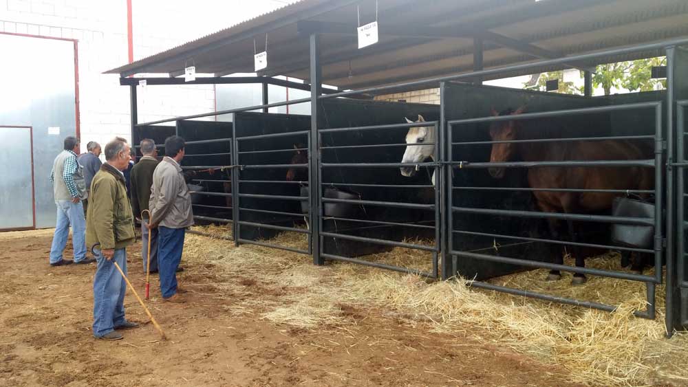 Feria Agroganadera de Fuente Obejuna